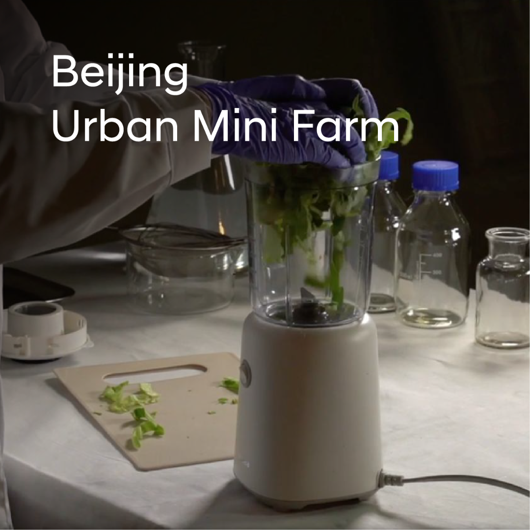 Urban Mini Farm